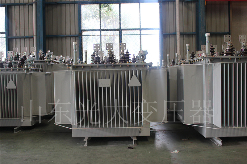 民乐S20-500KVA/10KV